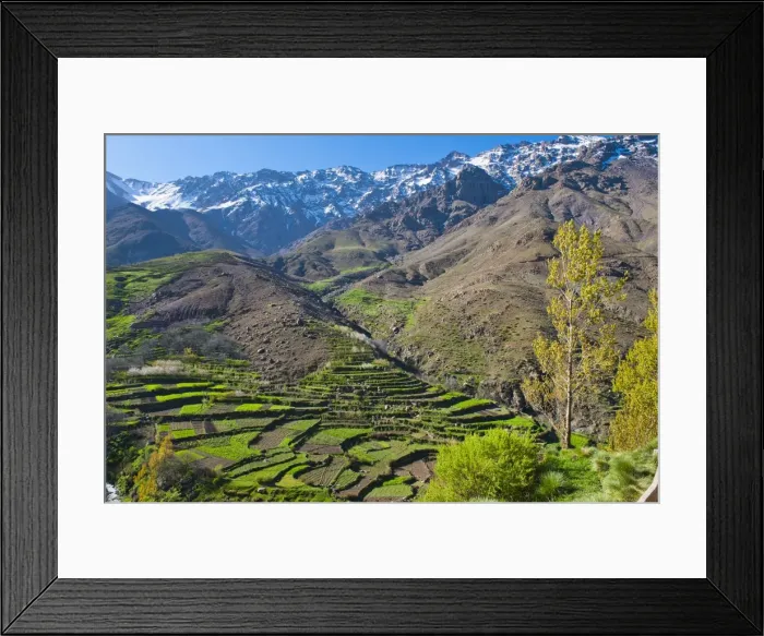 Framed Print : Terraced vegetable fields and farm land belonging to Berber farmers in the High Atlas Mountains, Morocco, North Africa, Africa Framed Print : Terraced vegetable fields and farm land belonging to Berber farmers in the High Atlas Mountains, Morocco, North Africa, Africa