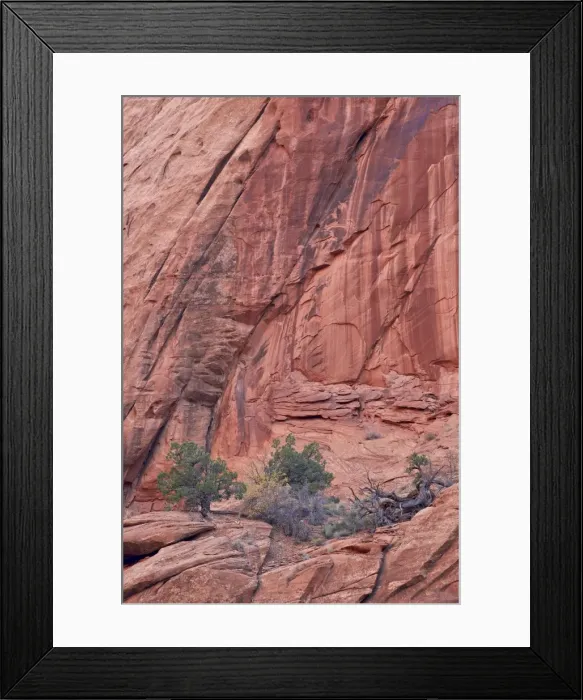 Framed Print : Salmon-coloured sandstone wall with evergreens, Grand Staircase-Escalante National Monument, Utah, United States of America, North America Framed Print : Salmon-coloured sandstone wall with evergreens, Grand Staircase-Escalante National Monument, Utah, United States of America, North America