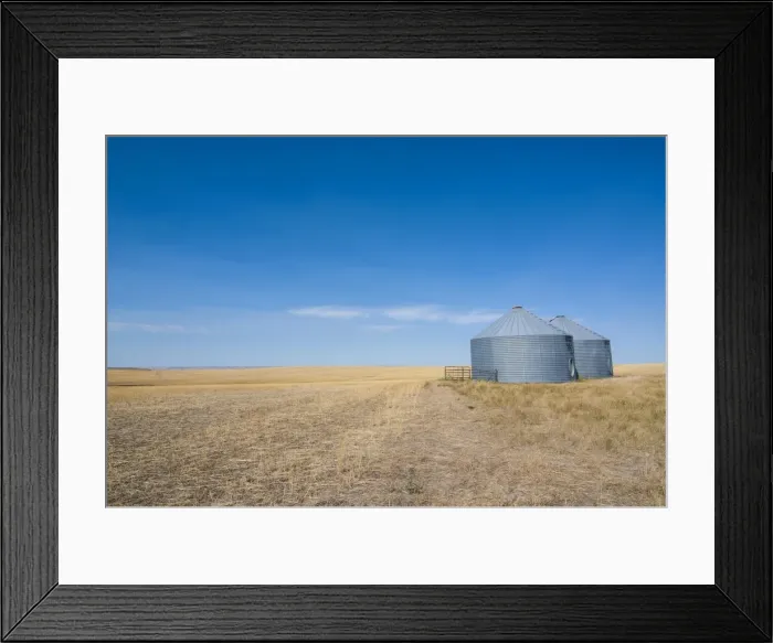 Framed Print : Lonely garner in a field, Badlands National Park, South Dakota, United States of America, North America Framed Print : Lonely garner in a field, Badlands National Park, South Dakota, United States of America, North America