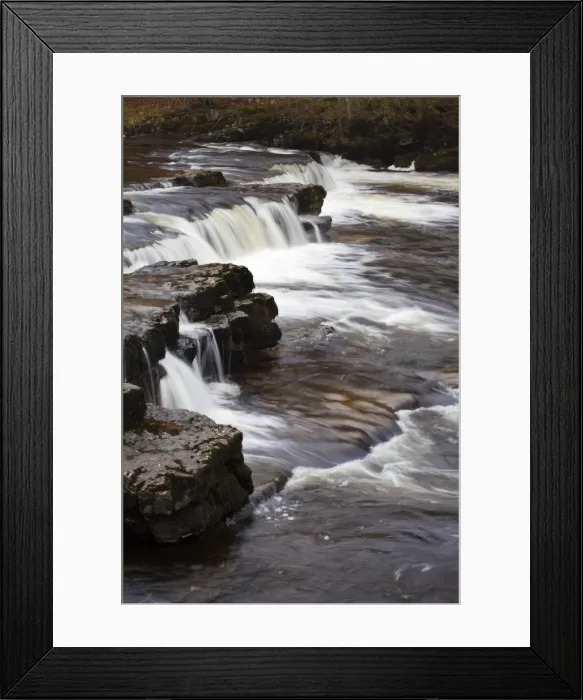 Framed Print : Redmire Force on the River Ure, Wensleydale, Yorkshire Dales, Yorkshire, England, United Kingdom, Europe Framed Print : Redmire Force on the River Ure, Wensleydale, Yorkshire Dales, Yorkshire, England, United Kingdom, Europe