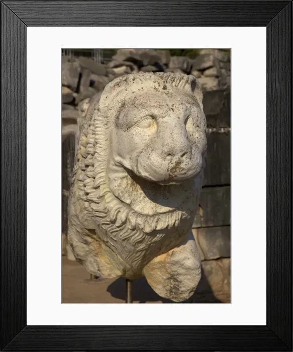 Framed Print : Stone lion at Temple of Apollo, Didyma, Anatolia, Turkey, Asia Minor, Eurasia Framed Print : Stone lion at Temple of Apollo, Didyma, Anatolia, Turkey, Asia Minor, Eurasia