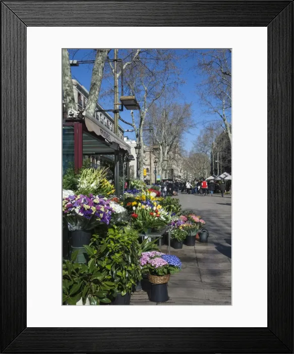 Framed Print : Flower stall on Las Ramblas, Barcelona, Catalunya, Spain, Europe Framed Print : Flower stall on Las Ramblas, Barcelona, Catalunya, Spain, Europe