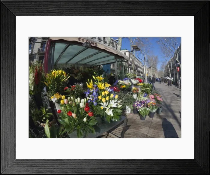 Framed Print : Flower stall on Las Ramblas, Barcelona, Catalunya, Spain, Europe Framed Print : Flower stall on Las Ramblas, Barcelona, Catalunya, Spain, Europe