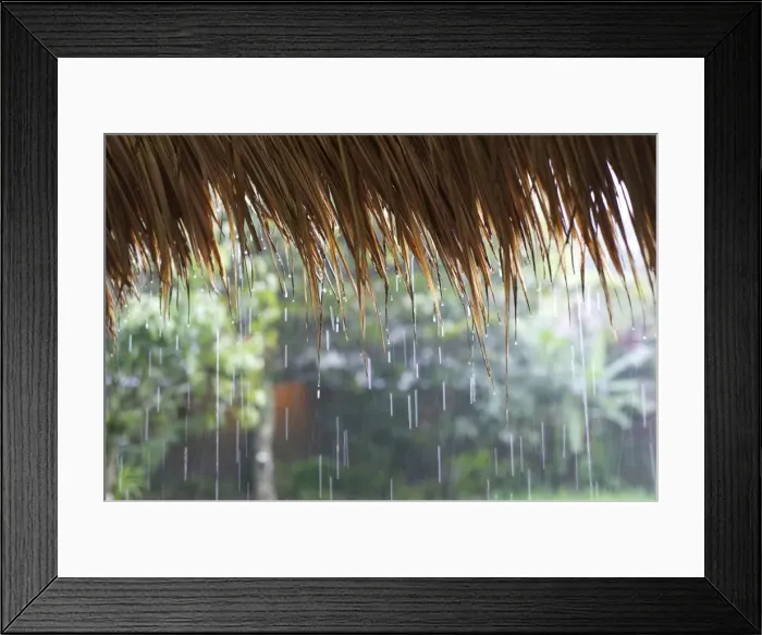 Framed Print : Heavy monsoon rain dripping off a rice straw thatched roof, Bandung, Java, Indonesia, Southeast Asia, Asia Framed Print : Heavy monsoon rain dripping off a rice straw thatched roof, Bandung, Java, Indonesia, Southeast Asia, Asia