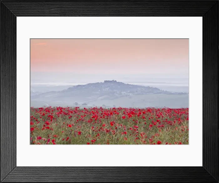Framed Print : A colourful display of poppies above the village of Sancerre in the Loire Valley, Cher, Centre, France, Europe Framed Print : A colourful display of poppies above the village of Sancerre in the Loire Valley, Cher, Centre, France, Europe