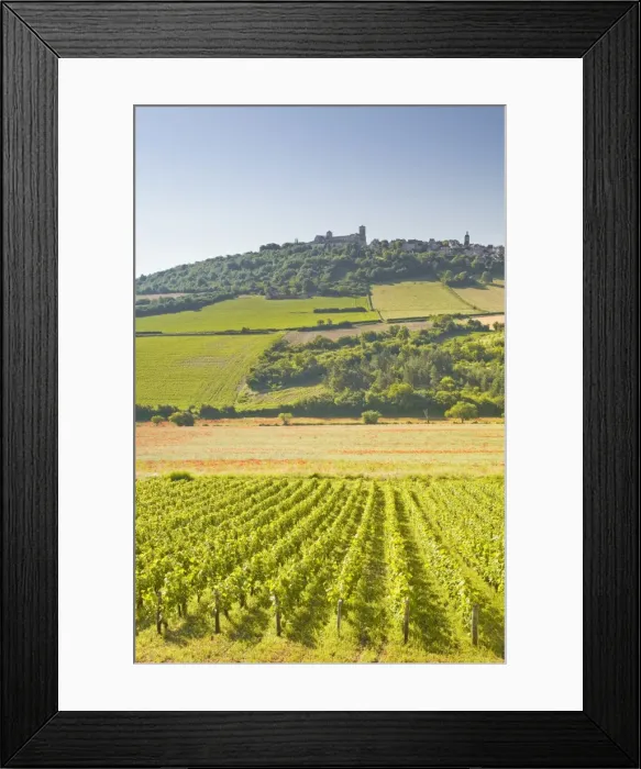 Framed Print : Vineyards near to the hilltop village of Vezelay in the Yonne area of Burgundy, France, Europe Framed Print : Vineyards near to the hilltop village of Vezelay in the Yonne area of Burgundy, France, Europe