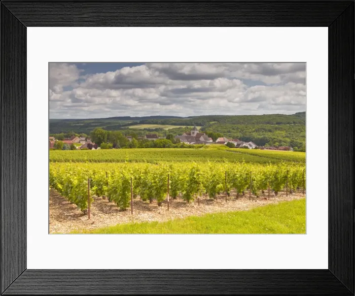 Framed Print : Champagne vineyards above the village of Landreville in the Cote des Bar area of Aube, Champagne-Ardennes, France, Europe Framed Print : Champagne vineyards above the village of Landreville in the Cote des Bar area of Aube, Champagne-Ardennes, France, Europe