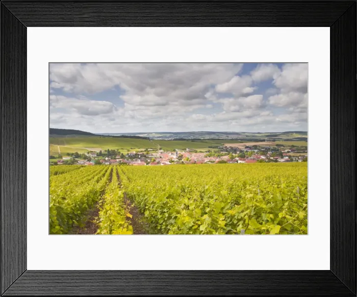 Framed Print : Champagne vineyards above the village of Baroville in the Cote des Bar area of Aube, Champagne-Ardennes, France, Europe