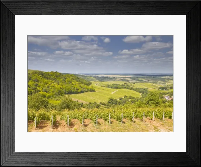 Framed Print : Vineyards near to Sancerre in the Loire Valley. an area famous for its wine, Cher, Centre, France, Europe Framed Print : Vineyards near to Sancerre in the Loire Valley. an area famous for its wine, Cher, Centre, France, Europe