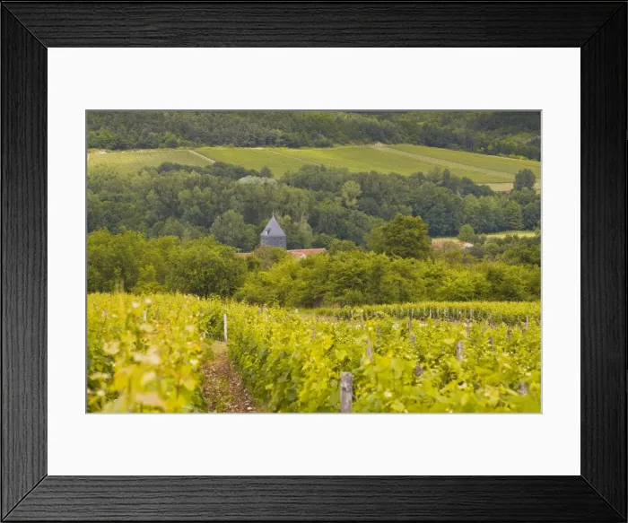 Framed Print : Champagne vineyards above the village of Chervey in the Cote des Bar area of Aube, Champagne-Ardennes, France, Europe Framed Print : Champagne vineyards above the village of Chervey in the Cote des Bar area of Aube, Champagne-Ardennes, France, Europe