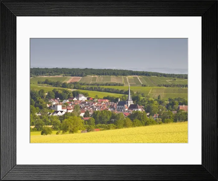 Framed Print : The village of Ricey Bas in the Cote des Bar area, Champagne, France, Europe Framed Print : The village of Ricey Bas in the Cote des Bar area, Champagne, France, Europe
