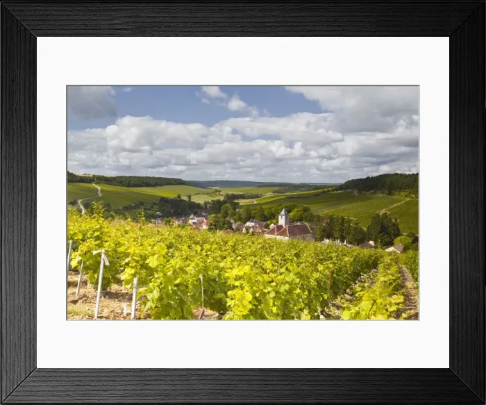 Framed Print : Champagne vineyards above the village of Viviers sur Artaut in the Cote des Bar area of the Aube department, Champagne-Ardennes, France, Europe Framed Print : Champagne vineyards above the village of Viviers sur Artaut in the Cote des Bar area of the Aube department, Champagne-Ardennes, France, Europe