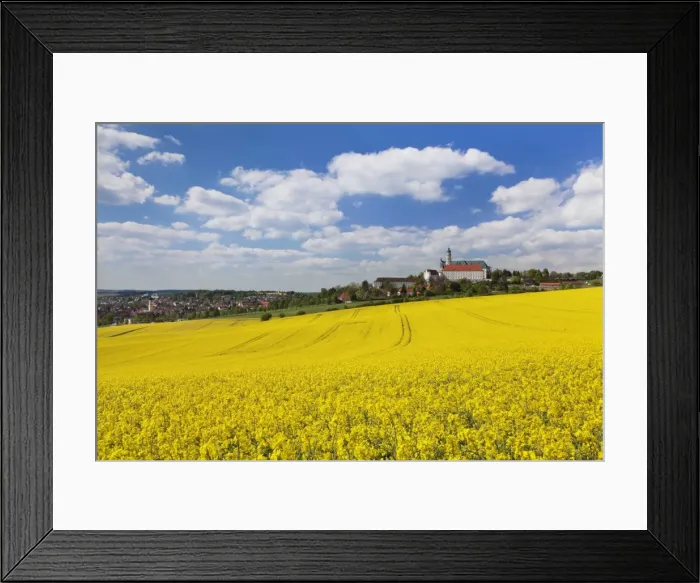 Framed Print : Rape field and Benedictine Abbey, Neresheim, Swabian Alb, Baden Wurttemberg, Germany, Europe Framed Print : Rape field and Benedictine Abbey, Neresheim, Swabian Alb, Baden Wurttemberg, Germany, Europe