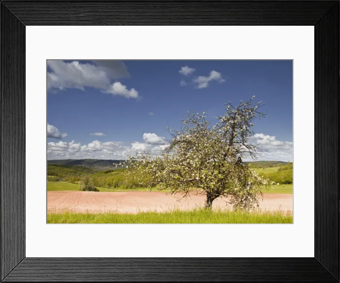 Framed Print : The Dordogne countryside in spring time, Dordogne, France, Europe Framed Print : The Dordogne countryside in spring time, Dordogne, France, Europe