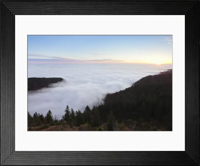 Framed Print : Feldberg, Black Forest, Baden Wurttemberg, Germany, Europe Framed Print : Feldberg, Black Forest, Baden Wurttemberg, Germany, Europe
