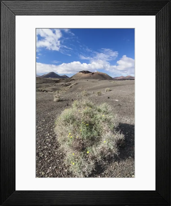 Framed Print : Montana del Cuervo, Parque Natural de los Volcanos, Lanzarote, Canary Islands, Spain, Atlantic, Europe Framed Print : Montana del Cuervo, Parque Natural de los Volcanos, Lanzarote, Canary Islands, Spain, Atlantic, Europe