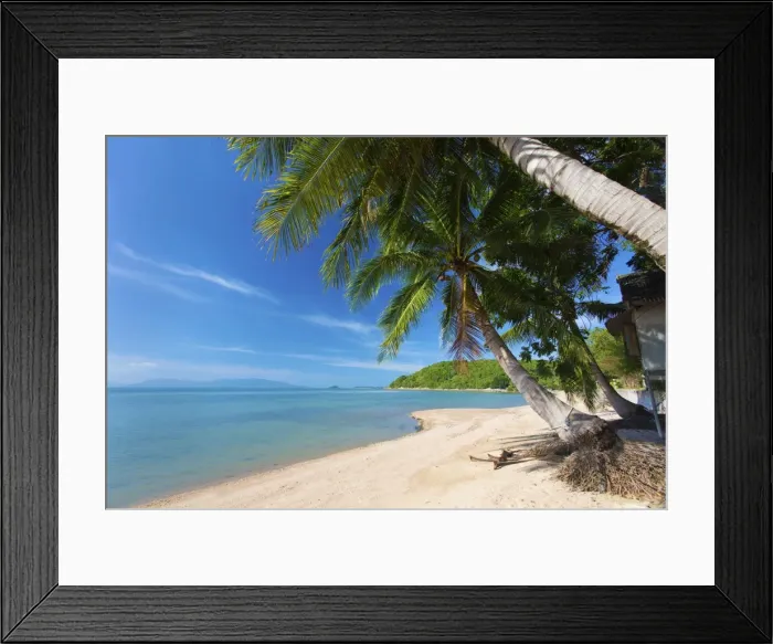 Framed Print : Palm trees overhanging Bangrak Beach, Koh Samui, Thailand, Southeast Asia, Asia