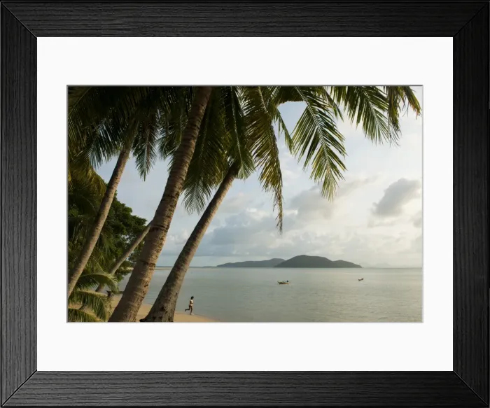 Framed Print : Palm trees, Thong Krut Beach, Ko Samui Island, Surat Thani, Thailand, Southeast Asia, Asia Framed Print : Palm trees, Thong Krut Beach, Ko Samui Island, Surat Thani, Thailand, Southeast Asia, Asia