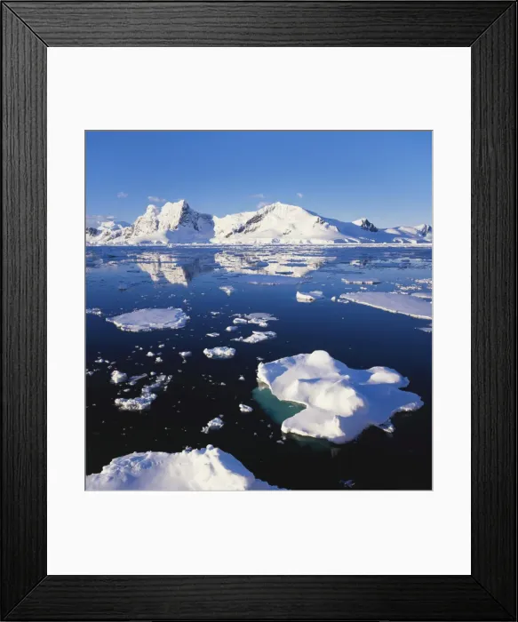 Framed Print : Ice Floe on the Antarctic Peninsula Framed Print : Ice Floe on the Antarctic Peninsula