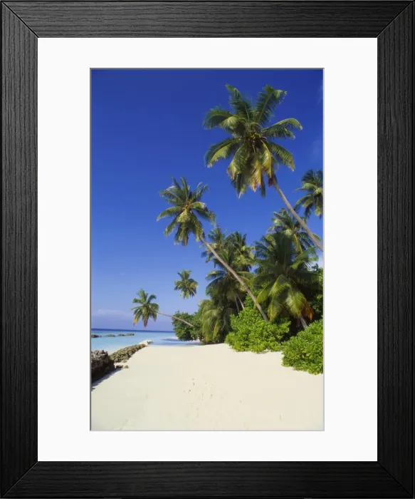 Framed Print : Beach at Nakatchafushi, North Male Atoll, Maldives Framed Print : Beach at Nakatchafushi, North Male Atoll, Maldives