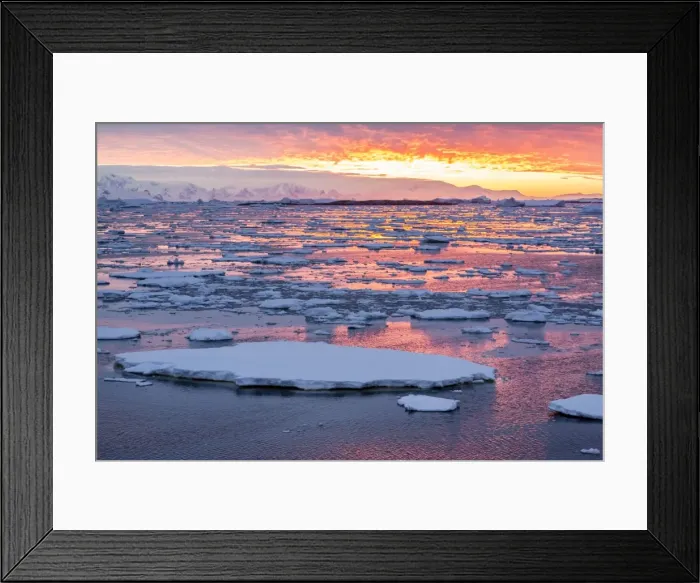 Framed Print : Sunset over ice floes and icebergs, near Pleneau Island, Antarctica, Southern Ocean, Polar Regions Framed Print : Sunset over ice floes and icebergs, near Pleneau Island, Antarctica, Southern Ocean, Polar Regions
