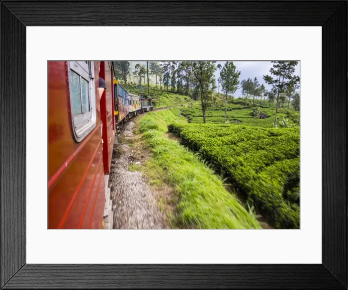 Framed Print : Train journey through tea plantations, Haputale, Sri Lanka Hill Country, Nuwara Eliya District, Sri Lanka, Asia Framed Print : Train journey through tea plantations, Haputale, Sri Lanka Hill Country, Nuwara Eliya District, Sri Lanka, Asia