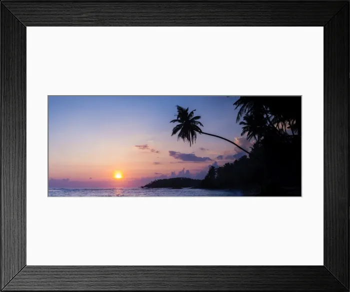 Framed Print : Palm tree at sunset on tropical Mirissa Beach, South Coast of Sri Lanka, Southern Province, Sri Lanka, Asia Framed Print : Palm tree at sunset on tropical Mirissa Beach, South Coast of Sri Lanka, Southern Province, Sri Lanka, Asia