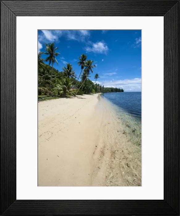Framed Print : Beautiful white sand beach and palm trees on the island of Yap, Federated States of Micronesia, Caroline Islands, Pacific Framed Print : Beautiful white sand beach and palm trees on the island of Yap, Federated States of Micronesia, Caroline Islands, Pacific