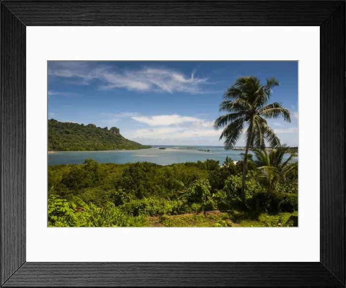 Framed Print : Lonely palm tree, Pohnpei (Ponape), Federated States of Micronesia, Caroline Islands, Central Pacific, Pacific Framed Print : Lonely palm tree, Pohnpei (Ponape), Federated States of Micronesia, Caroline Islands, Central Pacific, Pacific