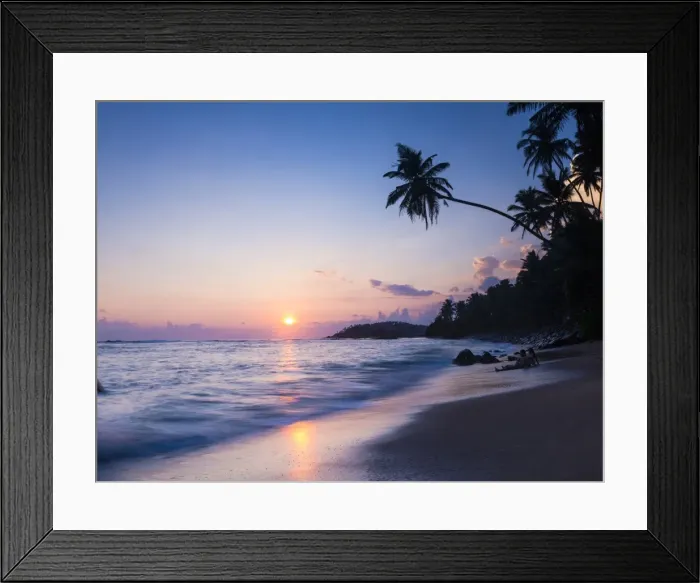 Framed Print : Palm tree at sunset on tropical Mirissa Beach, South Coast of Sri Lanka, Southern Province, Sri Lanka, Asia