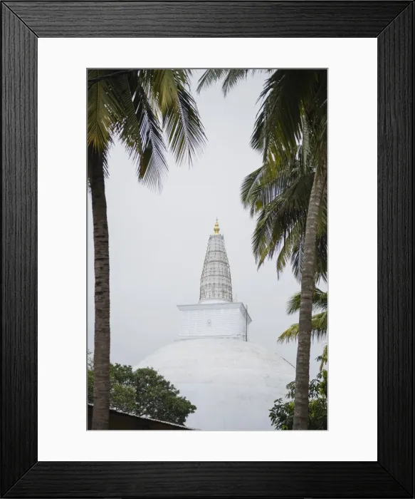 Framed Print : Close up of Ruwanwelisaya Dagoba in the Mahavihara (The Great Monastery), Anuradhapura, UNESCO World Heritage Site, Sri Lanka, Asia Framed Print : Close up of Ruwanwelisaya Dagoba in the Mahavihara (The Great Monastery), Anuradhapura, UNESCO World Heritage Site, Sri Lanka, Asia