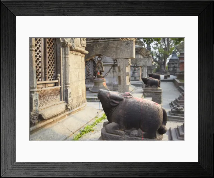 Framed Print : Shiva shrines at Pashupatinath Temple, UNESCO World Heritage Site, Kathmandu, Nepal, Asia Framed Print : Shiva shrines at Pashupatinath Temple, UNESCO World Heritage Site, Kathmandu, Nepal, Asia
