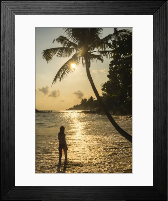 Framed Print : A woman underneath a palm tree on Mirissa Beach at sunset, South Coast of Sri Lanka, Southern Province, Sri Lanka, Asia Framed Print : A woman underneath a palm tree on Mirissa Beach at sunset, South Coast of Sri Lanka, Southern Province, Sri Lanka, Asia