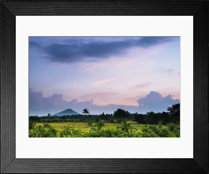 Framed Print : Sri Lanka landscape at sunrise, paddy fields near Dambulla, Central Province, Sri Lanka, Asia Framed Print : Sri Lanka landscape at sunrise, paddy fields near Dambulla, Central Province, Sri Lanka, Asia