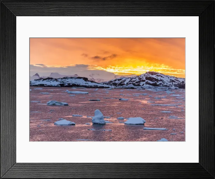 Framed Print : Sunset over ice floes and icebergs, near Pleneau Island, Antarctica, Southern Ocean, Polar Regions Framed Print : Sunset over ice floes and icebergs, near Pleneau Island, Antarctica, Southern Ocean, Polar Regions