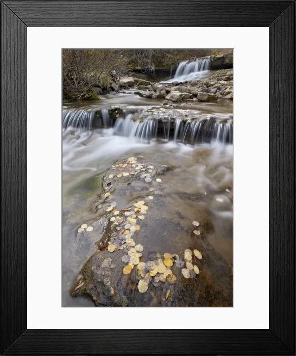 Framed Print : Falls on the Big Bear Creek in the fall, San Miguel County, Colorado, United States of America, North America