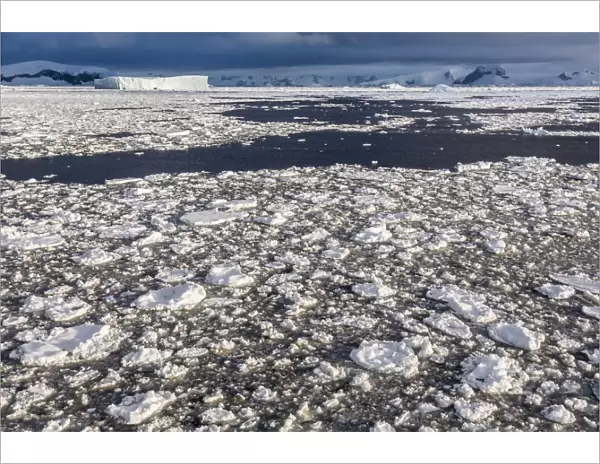 First year sea ice and brash ice near Petermann Island, western side of the Antarctic Peninsula, Southern Ocean, Polar Regions