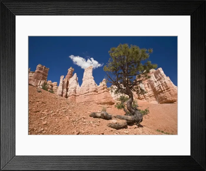 Framed Print : Bryce Canyon, Bryce Canyon National Park, Utah, United States of America, North America Framed Print : Bryce Canyon, Bryce Canyon National Park, Utah, United States of America, North America