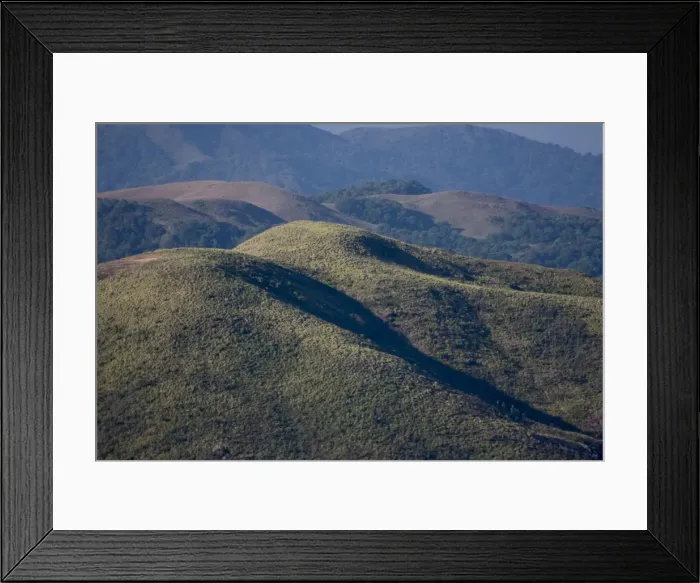 Framed Print : Grasslands, Mangala Devi Peak, Periyar, Kerala, India, Asia Framed Print : Grasslands, Mangala Devi Peak, Periyar, Kerala, India, Asia