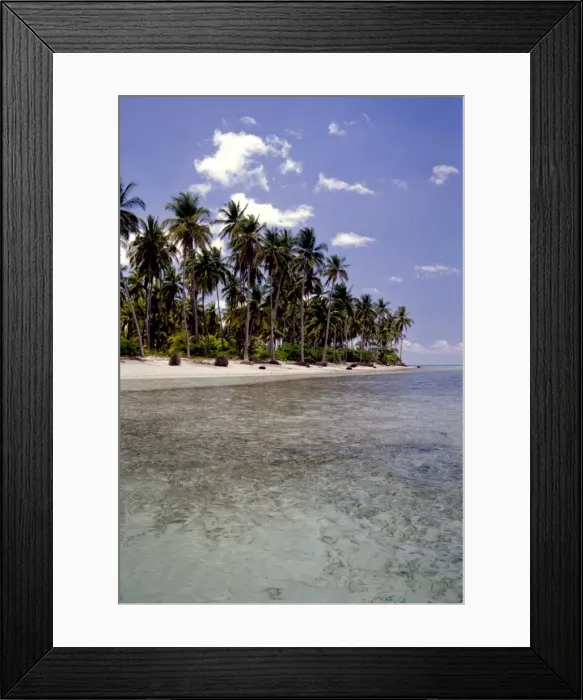 Framed Print : Coral exposed during low tide at Andrott Island, Lakshadweep Islands, India, Indian Ocean, Asia Framed Print : Coral exposed during low tide at Andrott Island, Lakshadweep Islands, India, Indian Ocean, Asia