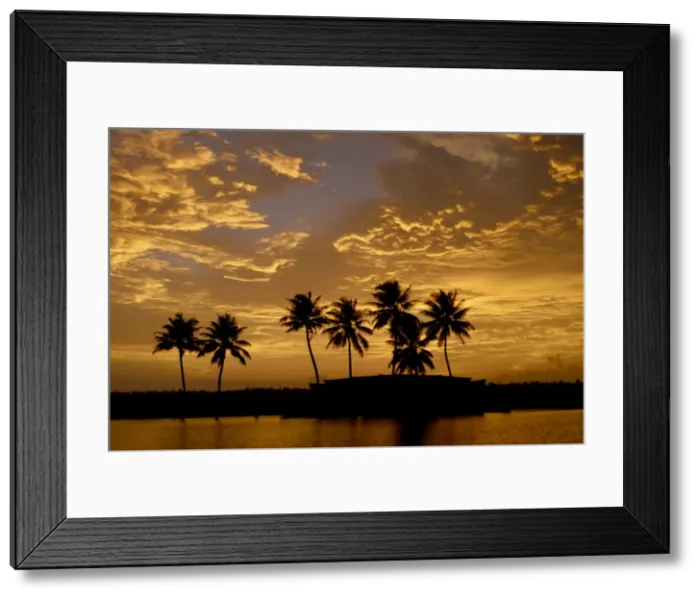 Framed Print : Sunset over the Backwaters, Alleppey, Kerala, India, Asia Framed Print : Sunset over the Backwaters, Alleppey, Kerala, India, Asia