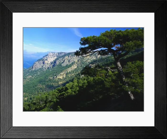 Framed Print : Cazorla National Park, Sierra del Pozo, Andalucia, Spain Framed Print : Cazorla National Park, Sierra del Pozo, Andalucia, Spain