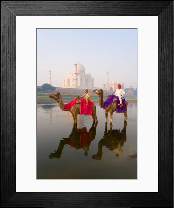 Framed Print : Man and boy riding camels in the Yamuna River in front of the Taj Mahal, UNESCO World Heritage Site, Agra, Uttar Pradesh, India, Asia Framed Print : Man and boy riding camels in the Yamuna River in front of the Taj Mahal, UNESCO World Heritage Site, Agra, Uttar Pradesh, India, Asia