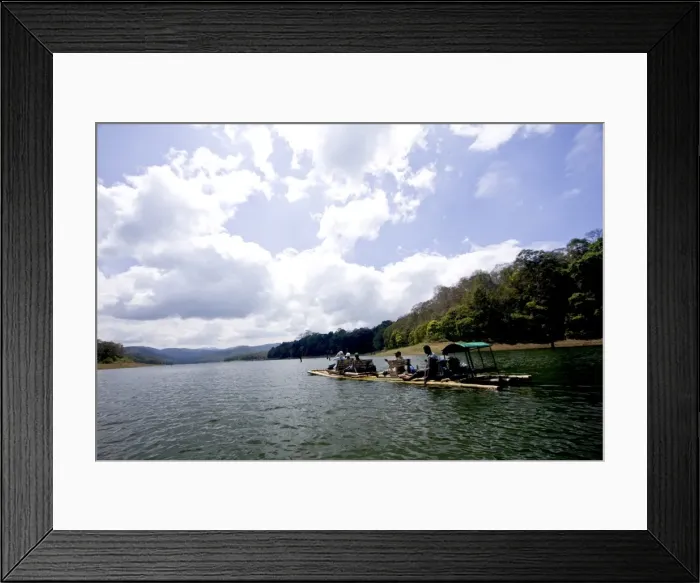 Framed Print : Bamboo rafting, Periyar Tiger Reserve, Thekkady, Kerala, India, Asia Framed Print : Bamboo rafting, Periyar Tiger Reserve, Thekkady, Kerala, India, Asia