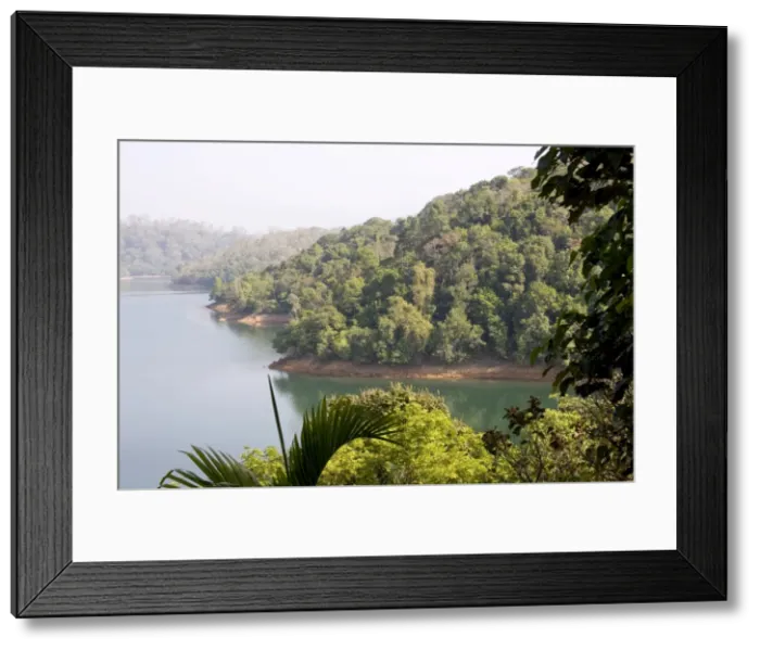 Framed Print : Neyyar Reservoir and wildlife sanctuary, Trivandrum, Kerala, India, Asia Framed Print : Neyyar Reservoir and wildlife sanctuary, Trivandrum, Kerala, India, Asia