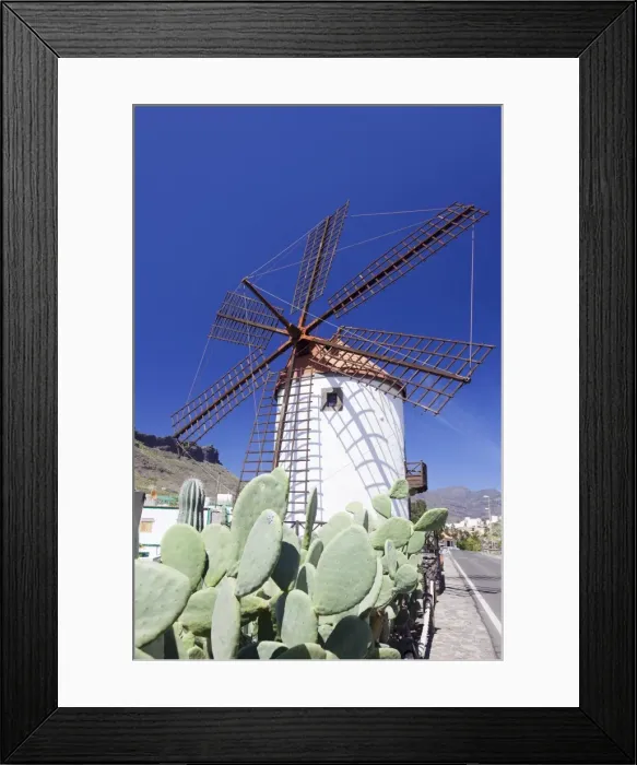 Framed Print : Windmill and cactus, Mogan, Gran Canaria, Canary Islands, Spain, Europe Framed Print : Windmill and cactus, Mogan, Gran Canaria, Canary Islands, Spain, Europe