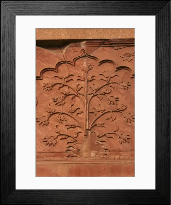 Framed Print : Mughal architecture, Delhi, India, Asia Framed Print : Mughal architecture, Delhi, India, Asia