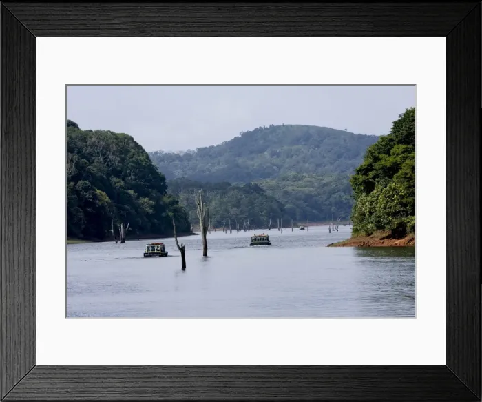 Framed Print : Boating, Periyar Tiger Reserve, Thekkady, Kerala, India, Asia Framed Print : Boating, Periyar Tiger Reserve, Thekkady, Kerala, India, Asia