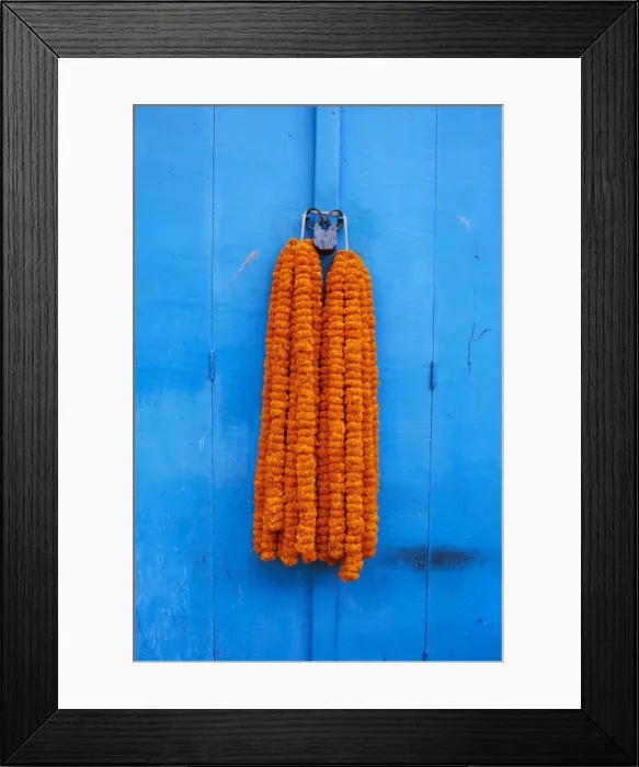Framed Print : Door, padlock and flower garlands, Kolkata (Calcutta), West Bengal, India, Asia Framed Print : Door, padlock and flower garlands, Kolkata (Calcutta), West Bengal, India, Asia