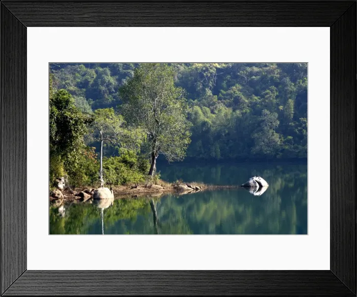Framed Print : Steve Irwin Crocodile Park, Trivandrum, Kerala, India, Asia Framed Print : Steve Irwin Crocodile Park, Trivandrum, Kerala, India, Asia